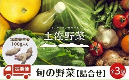 『定期便 全3回』無農薬生姜100gと旬の野菜の詰め合わせ【土佐野菜】 | 野菜セット セット 新鮮 野菜 毎月 野菜定期便 人気 おすすめ 高知県 南国市
