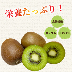 キウイフルーツ ヘイワード 【小玉】 約3kg 【2026年11月上旬頃から順次発送】 |  キウイ グリーンキウイ ヘイワード キウイフルーツ フルーツ 果物 きうい くだもの デザート 産地直送 