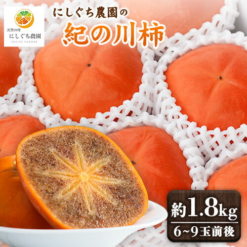 【ふるさと納税】紀の川柿 約1.8kg(6個〜9個入り) 和歌山県特産果肉の黒い柿！秀品にしぐち農園《10月下旬-10月末頃出荷》和歌山県 紀の川市 産地直送