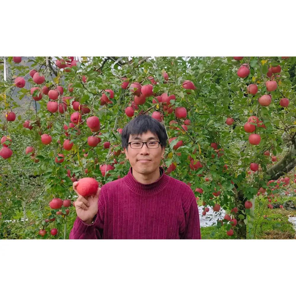 牧野果樹園　長野市産「ぐんま名月」約3kg（8～10玉）  | りんご フルーツ 果物 りんご