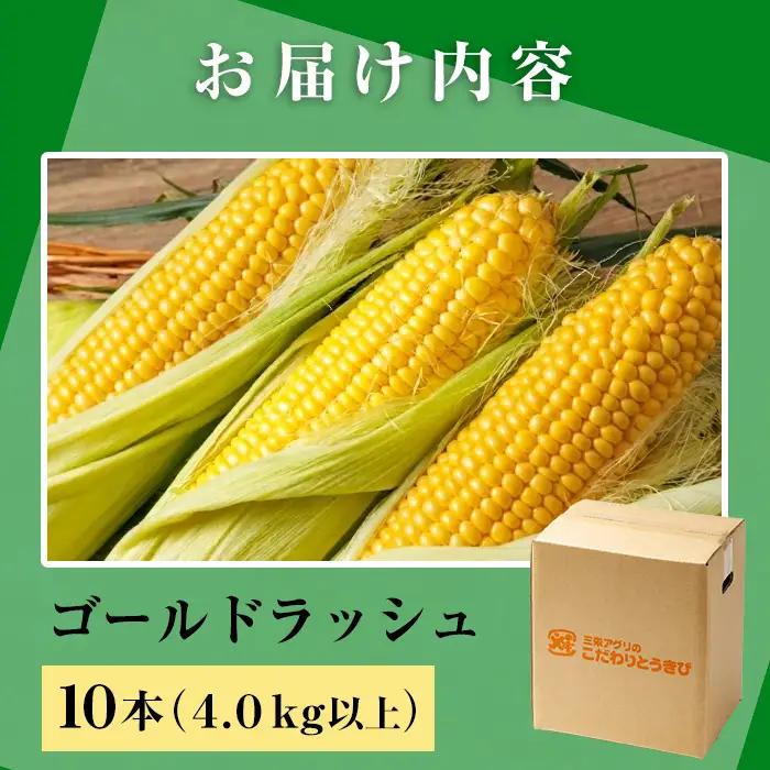 スイートコーン ゴールドラッシュ 北海道 10本 2026年8月下旬より発送 【三栄アグリ】　A7094