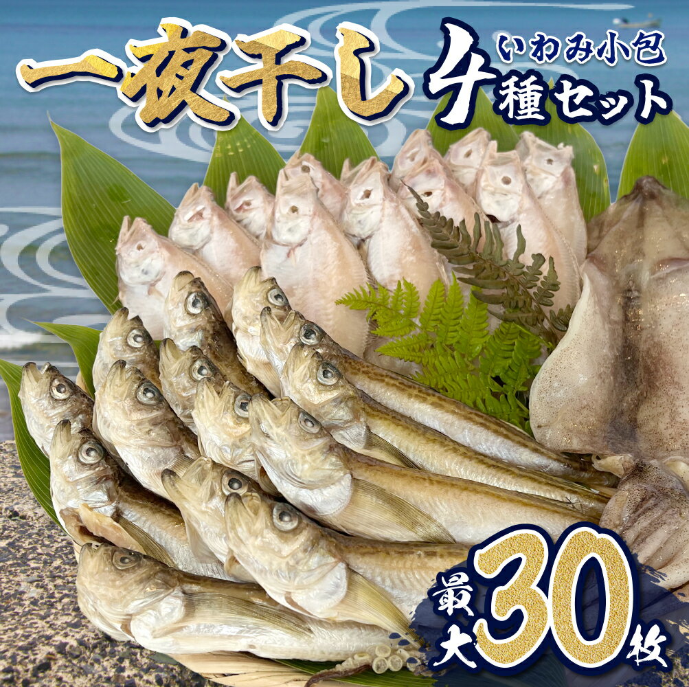 【ふるさと納税】いわみ小包（海）＜海産物一夜干し＞｜鳥取県 岩美町 ハタハタ カレイ スルメ イカ いか ノドグロ のどぐろ 干物 干し物 一夜干し 海鮮 魚介 食べ比べ 詰め合わせ セット 冷凍【24001】