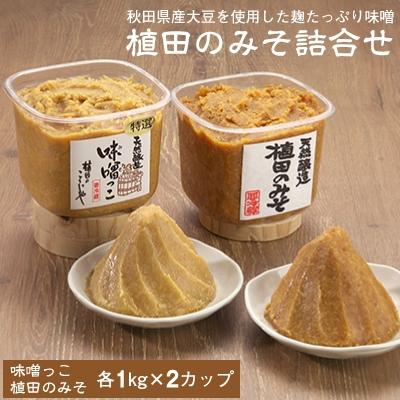ふるさと納税 横手市 【味噌】植田のみそ詰め合わせ(2種類各2個入り)