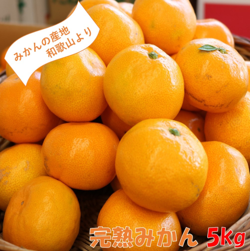 和歌山の完熟みかん5kg 紀州日高地方からお届けします!≪先行予約≫