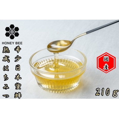 国産日本ミツバチ熟成はちみつ　百花蜂蜜210g*392