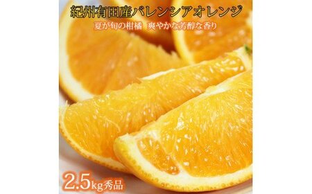 秀品 希少な国産バレンシアオレンジ 2.5kg【2026年6月下旬頃～7月上旬頃に順次発送】【UT75】【uot809】