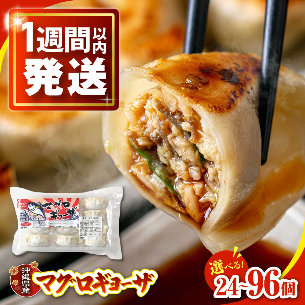 【ふるさと納税】【選べる内容量】冷凍マグロギョーザ 24～96個(12個入り/1パック) 餃子 冷凍 国産 マグロ 沖縄産 沖縄市 7000円 / 沖縄市漁業協同組合 パヤオ直売店[BCDZ003] セット・詰め合わせ 手作り