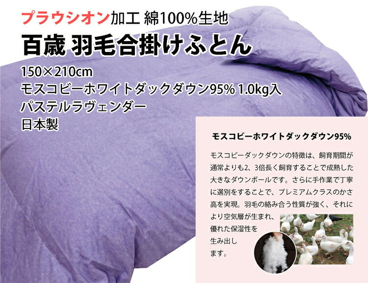 【ふるさと納税】百歳羽毛合掛けふとん シングルロングサイズ パステルラヴェンダー色 ミステリアスグレー色 K05IC001SHL K05IC001SHG