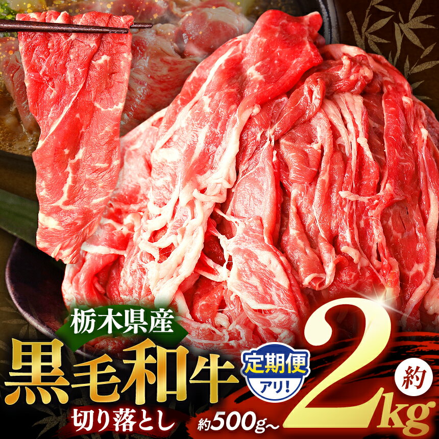 【ふるさと納税】 数量 限定 定期便 訳あり 牛肉 黒毛 和牛 切り落とし お肉 | 500g 1kg 1.5kg 2kg｜定期便 3回 6回 12回 | 栃木県産 国産牛 国産 ブランド牛 サシ 霜降り 甘い ステーキ すき焼き しゃぶしゃぶ 焼肉 切落し 上品 アレンジ 美味しい 料理 栃木県 矢板市