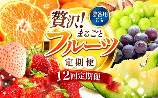 【 定期便 12回 】【秀品｜フルーツ定期便】贈答用 高評価 果物 フルーツ 選べる発送回数 （いちご みかん 不知火 スイカ ぶどう メロン シャインマスカット 梨 柿 アイス クレープ） 2回 ~ 12回 1年 フルーツ定期 フルーツ定期便 果物定期便 果物定期 定期便 フルーツ 果物 お試し 旬 取れたて  熊本県 玉名市