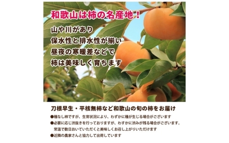 家庭用 訳あり たねなし 柿 10kg 【刀根早生・平核無柿（ひらたねなしかき）】
