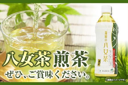 八女茶 煎茶ペットボトル 500ml×24本 株式会社親和園《30日以内に順次出荷(土日祝除く)(土日祝除く)》福岡県 鞍手郡 鞍手町 お茶 緑茶 茶 八女茶 ペットボトル 送料無料