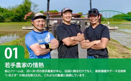 【定期便】米 宮城県産 ひとめぼれ 10kg×2回 (計20kg) ブランド米 白米 精米 ご飯 ごはん コメ こめ お米 小分け 家庭用 結心ファーム【yu00001-r6-10kg-t2】