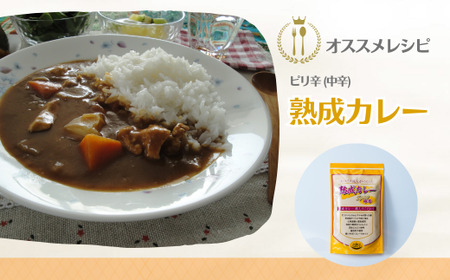 カレー 熟成カレー 中辛 4袋 セット | カレー 中辛 カレー 中辛 カレー 中辛 井上スパイス