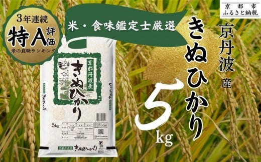 令和7年産 京都丹波産 きぬひかり 5kg ※米食味鑑定士厳選 ※精米したてをお届け【京都伏見のお米問屋が精米】米 令和7年産 ※沖縄本島・離島への配送不可 ※2025年11月上旬頃より順次発送予定