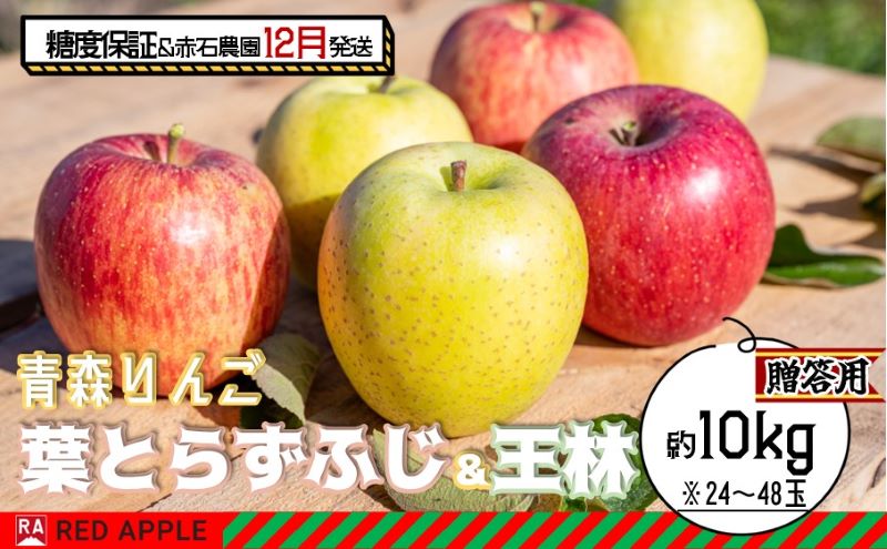 りんご 【 12月発送 】 13度糖度保証 贈答用 蜜入り 葉とらず ふじ ＆ 王林 約 10kg 【 弘前市産 青森りんご 】