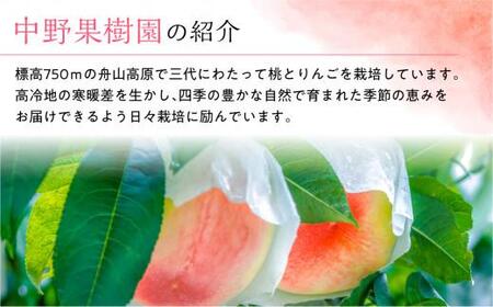飛騨桃源郷久々野 中野果樹園 桃果汁入り飲料 もも 果汁60% 飛騨桃 飲料 フルーツ まるっとプラザ  BA004