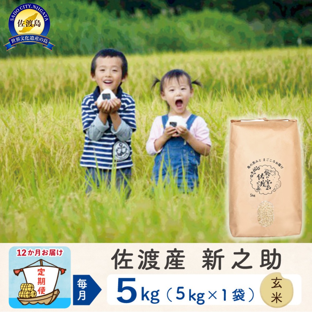 
            【新米予約 12か月定期便】佐渡島産 新之助 玄米5Kg 令和7年
          