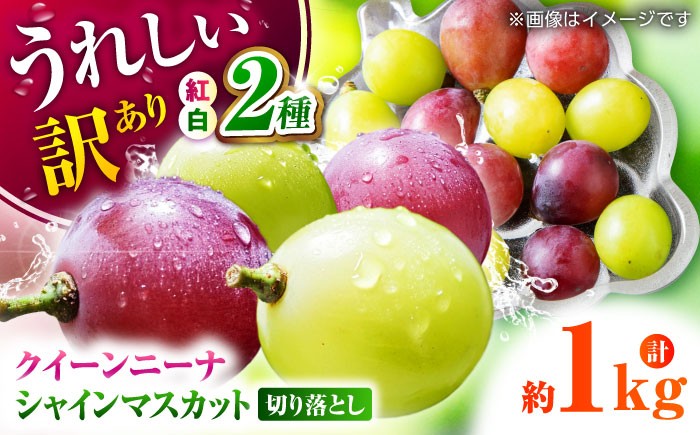 
                  【先行予約】訳あり ぶどう シャインマスカット＆クイーンニーナ 2種食べ比べ 切り落とし 熊本県産 計約1kg 旬のフルーツ 【合同会社 社方園】 [ZBZ041]
                