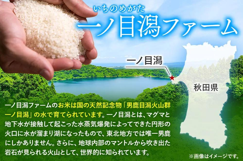 あきたこまち （玄米） 5kg（5kg×1袋） ＜令和7年産＞ 【定期便2ヶ月】 「秋田県男鹿市北浦産」 一ノ目潟ファーム 秋田県 男鹿市