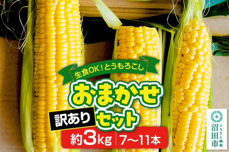 《7月下旬～9月中旬発送》【訳あり】とうもろこし おまかせセット約3kg（7～11本／品種の本数おまかせ）
