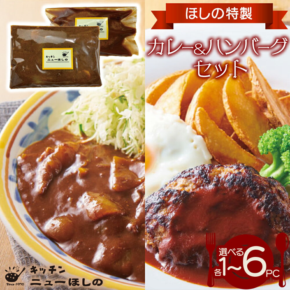 【ふるさと納税】キッチン ニューほしの おすすめセット【カレー＆ハンバーグ】【2種×各1～6パック】