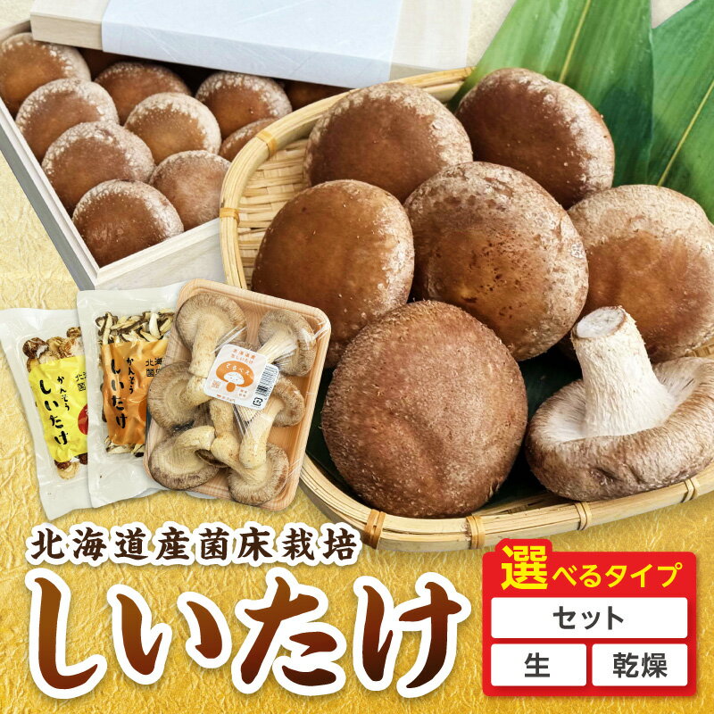 【ふるさと納税】北海道産 菌床栽培 しいたけ 生しいたけ 乾しいたけ ( しいたけ 椎茸 シイタケ きのこ キノコ 乾燥 スライス 丸干し 選べる セット 回数 1回 3回 定期便 )