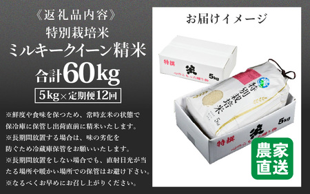 【令和5年産】《定期便12回》 特別栽培米 ミルキークイーン 精米 5kg (計60kg)  農薬不使用 化学肥料不使用 ／ 高品質 鮮度抜群 福井県産 ブランド米 白米 あわら産 ブランド米 