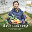 【ふるさと納税】《先行受付！》大地と共に生きよう　おまかせ野菜セット【1人～2人用】 贈答 ギフト お中元 お歳暮 熊本 阿蘇 産山村 送料無料 夏野菜 セット 詰め合わせ スイスチャード 空心菜 白ゴーヤ ルッコラ 無農薬《7月中旬-10月下旬頃出荷》