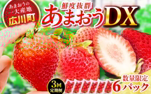 【3回定期便】博多あまおう 3ケース（270g×6P）　広川町 / JAふくおか八女農産物直売所どろや [AFAB082]