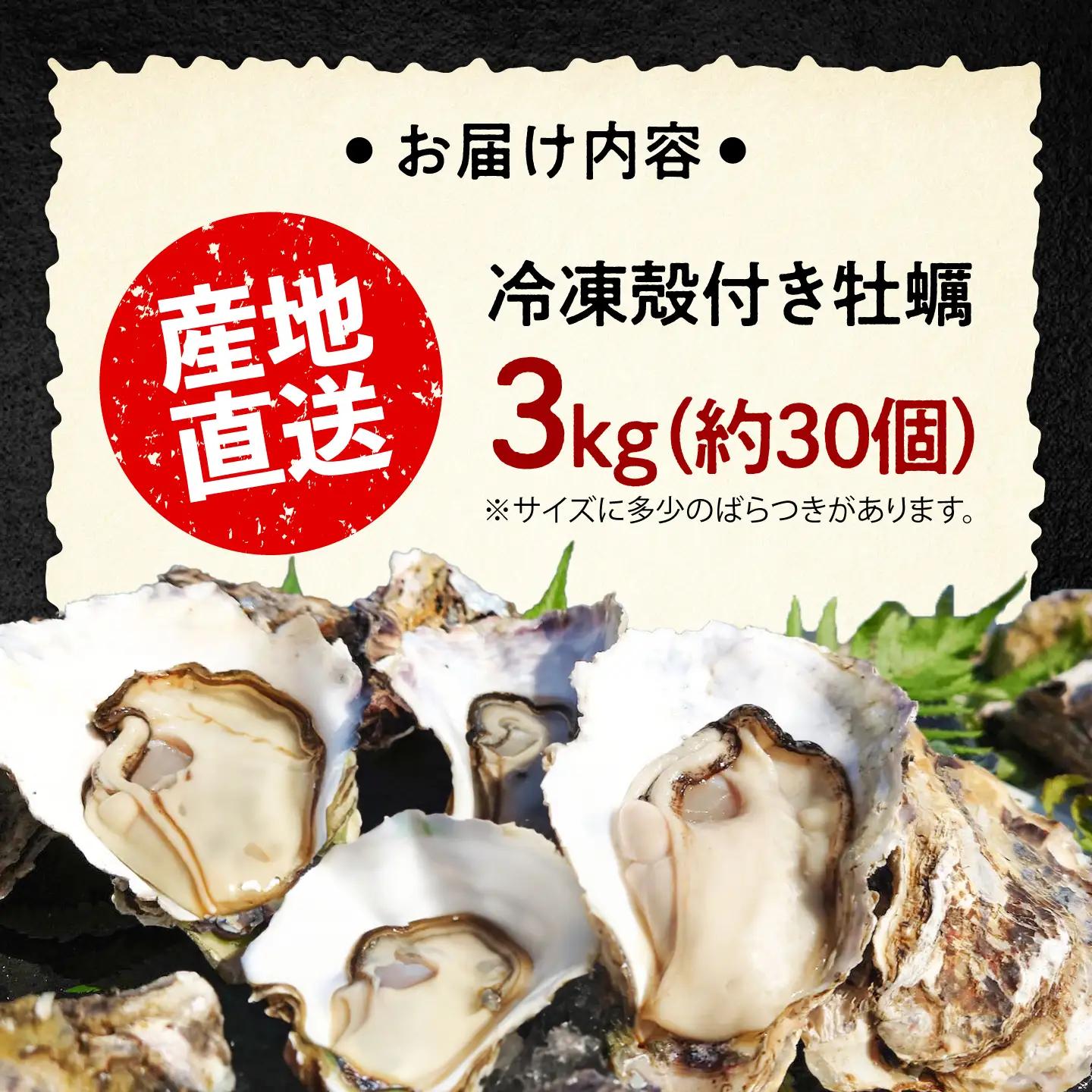 冷凍牡蠣 殻付き3kg 牡蠣[XAO030]
