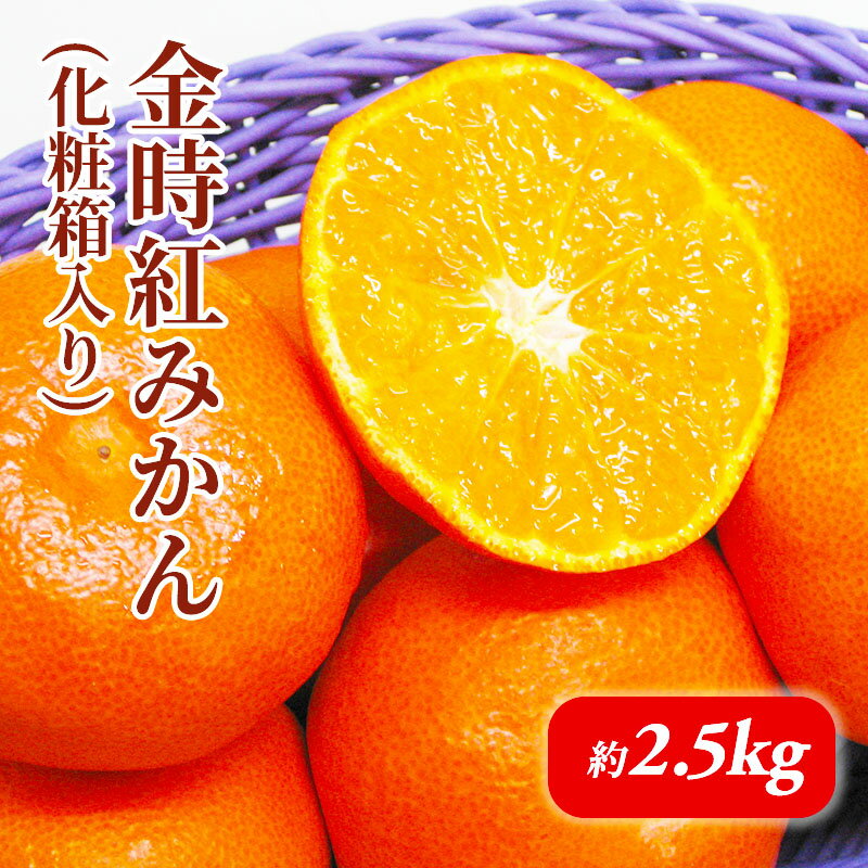 【ふるさと納税】金時紅みかん　化粧箱（約2.5kg）_みかん 果物類 柑橘類 フルーツ ミカン 蜜柑 くだもの 　お届け：2026年11月19日～2026年12月31日