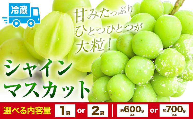
            シャインマスカット 選べる 約700g以上 約600g以上 1房 2房【配送不可地域あり】 黒川農園《10月上旬-11月中旬頃出荷》 ぶどう 送料無料 岡山県 浅口市 ぶどう フルーツ 果物 くだもの
          