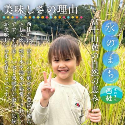 ふるさと納税 西桂町 【毎月定期便】山梨県西桂町産 富士山麓「水のまち」のこしひかり精米 5kg×2袋全4回 |  | 01