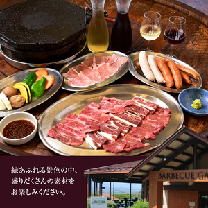 勝沼ぶどうの丘バーベキュー ペアお食事券 C-1302