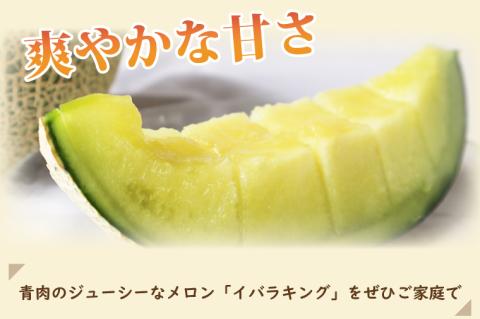 【2026年5月より順次発送】イバラキングメロン（2玉）｜メロン イバラキングメロン フルーツ 果物 くだもの 先行予約 茨城県 行方市(BW-20-1)