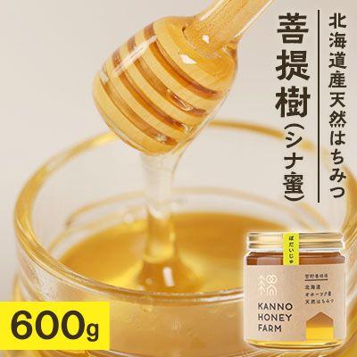 ふるさと納税 訓子府町 北海道産天然はちみつ　菩提樹　600g
