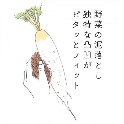 ふるさと納税 高野町 高田耕造商店　しゅろのやさしいたわし　むすび |  | 03
