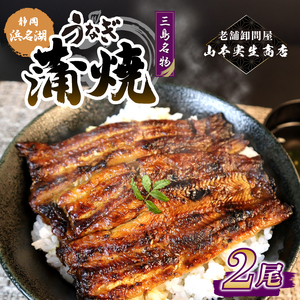 【2025年12月～順次発送】《数量限定》うなぎ蒲焼 2人前 2尾 冷蔵 三島名物 老舗 鰻問屋 うなぎ 蒲焼き 鰻 ウナギ 真空パック 浜名湖 土用丑の日 贈答用 惣菜 うな重 うな丼 伝統 贈り物 鰻料理 ウナギの蒲焼 和食 浜名湖うなぎ 山本実生商店 三島市 静岡県