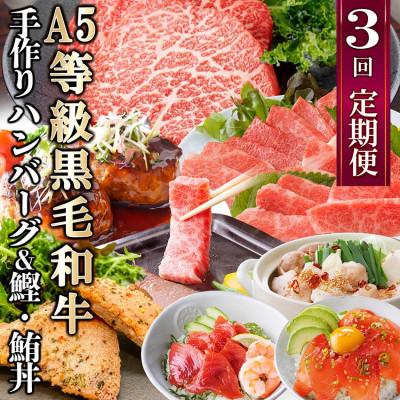 ふるさと納税 枕崎市 定期便(3回配送)枕崎お楽しみ便(黒毛和牛・黒豚ハンバーグ・まぐろ　かつお丼) LL-6005