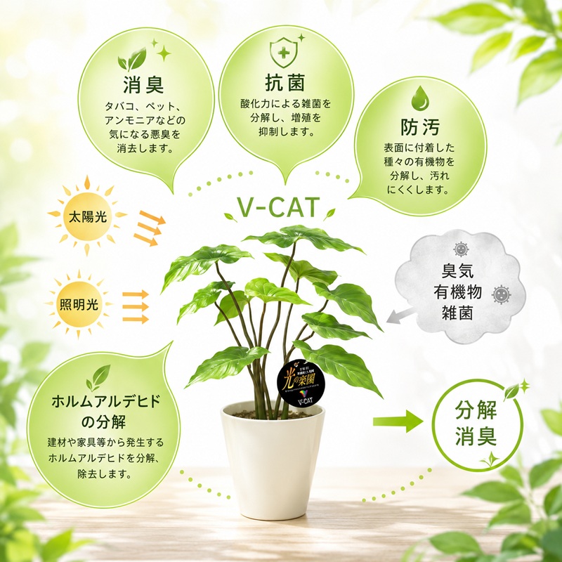 光の楽園　エアプランツW（ポリ製）【配送不可：北海道・沖縄・離島】 雑貨 日用品 植物 造花