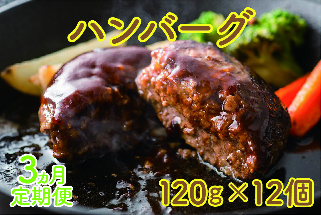 
            北海道産 上ノ国町 フルーツポークのハンバーグ（120g×12個）【2月･3月･4月定期便】
          