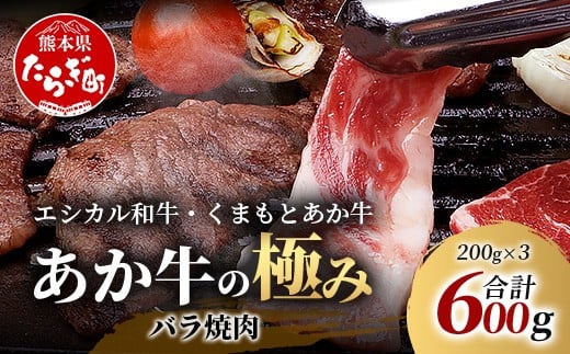 【エシカル和牛】くまもと あか牛【あか牛の極み】バラ焼肉 200g×3 (計 600g) バラ 熊本 赤牛 ジューシー 牛肉 小分け 焼き肉 焼肉 やき肉 BBQ アウトドア 和牛 国産 SDGs 033-0514