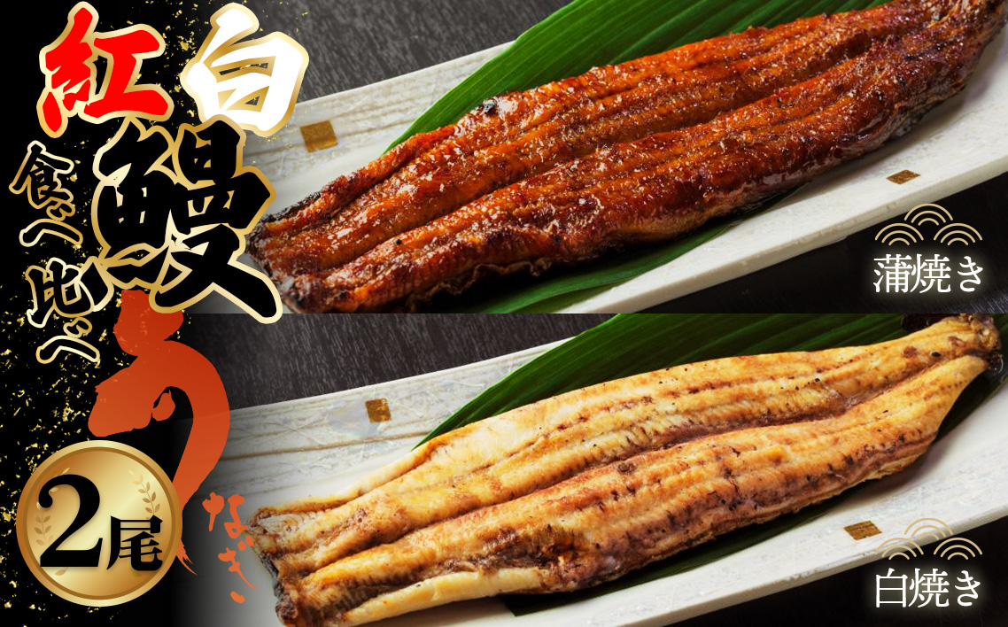 
            食べ比べ紅白鰻各1尾 ／ 花心亭 熟練職人 三河一色 高級 鰻 ふっくら 鰻の蒲焼 白焼き こだわりのたれ お取り寄せ ごちそう 贈り物 愛知県 No.496
          