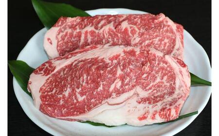 【全6回定期便】【数量限定】GI くまもとあか牛ロースステーキ　約500ｇ【有限会社 桜屋】[AYCP074]