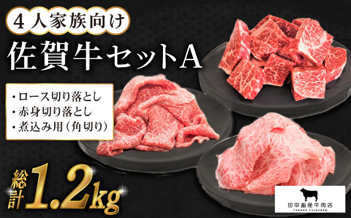4人家族向け 佐賀牛 普段使いセットA【田中畜産牛肉店】 [HBH031] 牛肉