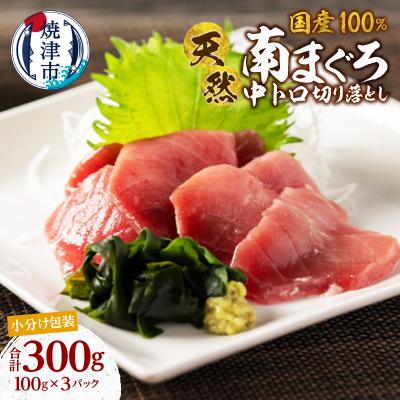 ふるさと納税 焼津市 国産 中トロ ミナミマグロ 一口サイズ 刺身 海鮮丼 焼津 海の極(100g×3)(a13-139) | 