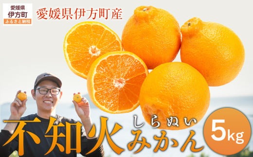 【先行予約】【数量限定】不知火5kg（石崎農園）※離島への配送不可 （2026年2月10日より順次発送予定） IKTAG002 