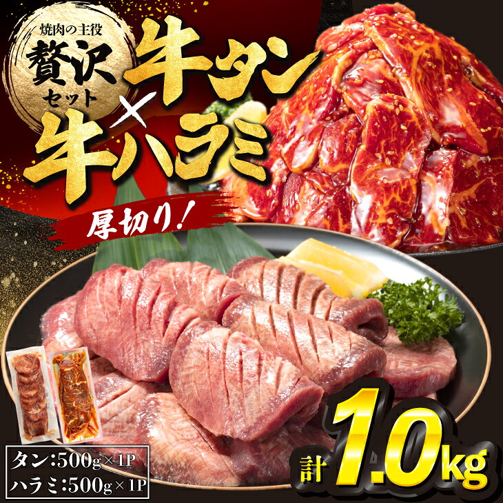 【ふるさと納税】厚切り牛タン塩味500g・味付き牛ハラミ「秘伝の黒たれ仕込み」500g各1パック 牛肉 肉 焼肉 たんもと たんなか 塩牛タン 冷凍 真空パック 味付け肉 BBQ