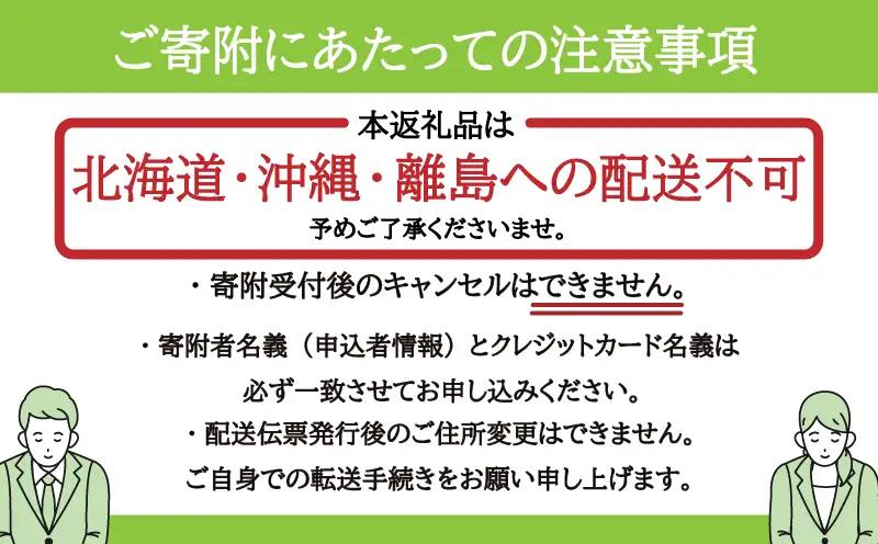 にんじん 約4kg 野菜 国産 先行予約